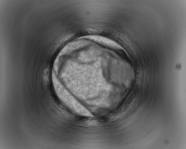 X0000099530604200806061433