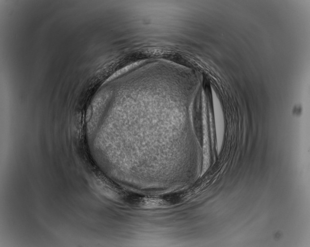 X0000099530605200806061433