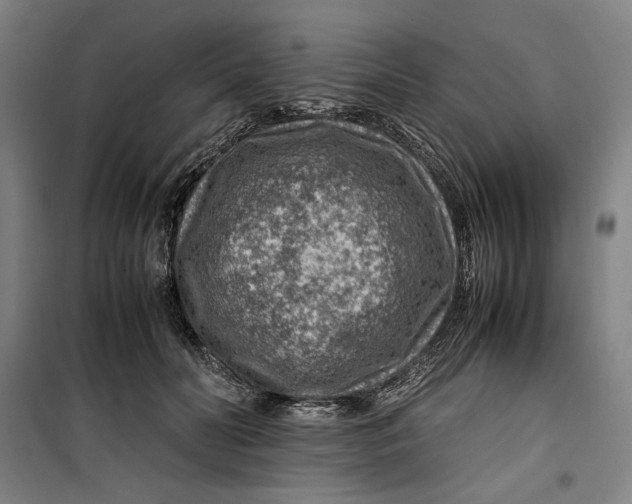 X0000099530606200806061433