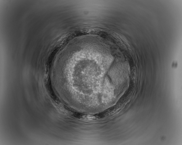 X0000099530607200806061433