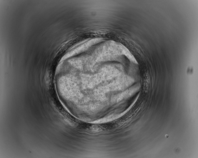 X0000099530608200806061433