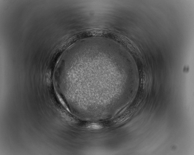 X0000099530610200806061433