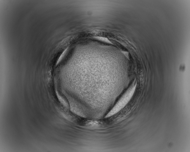 X0000099530611200806061433