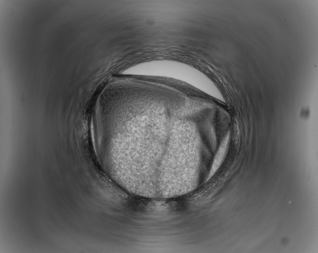 X0000099530613200806061433