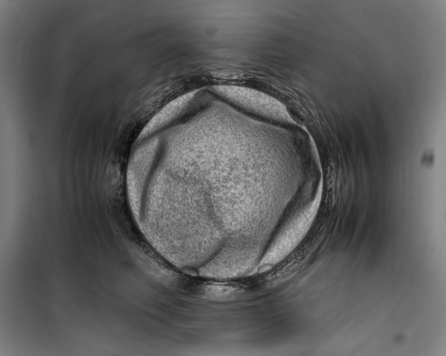 X0000099530614200806061433