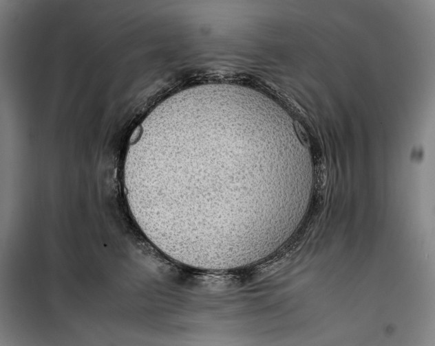 X0000099530615200806061433