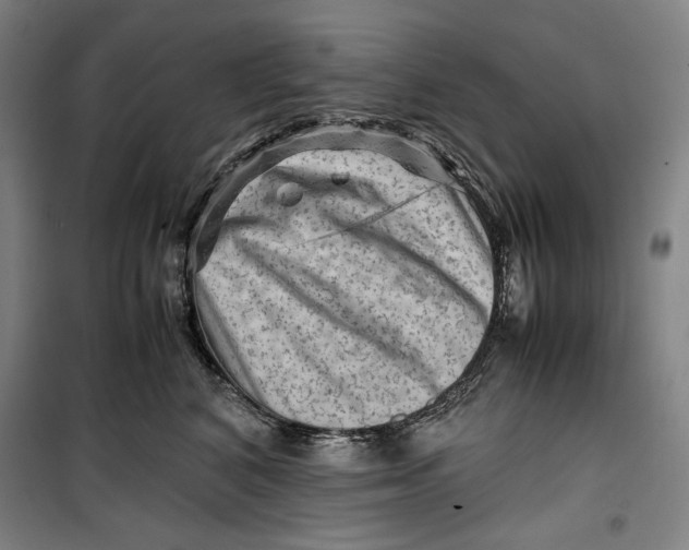 X0000099530616200806061433