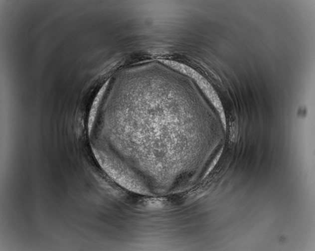 X0000099530618200806061433