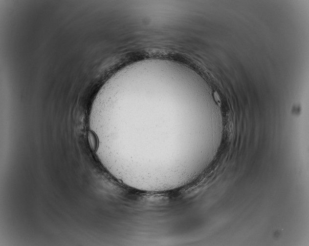 X0000099530619200806061433