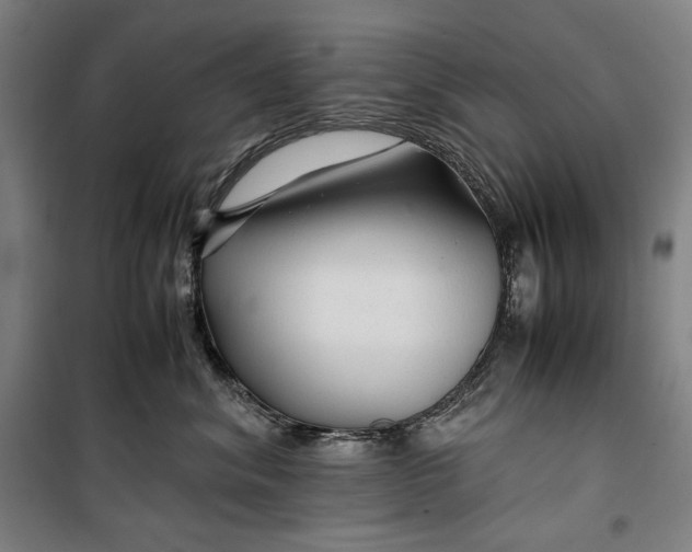 X0000099530620200806061433