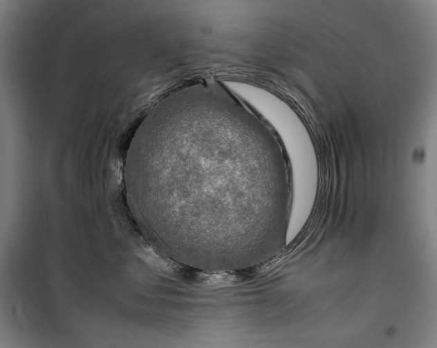 X0000099530621200806061433