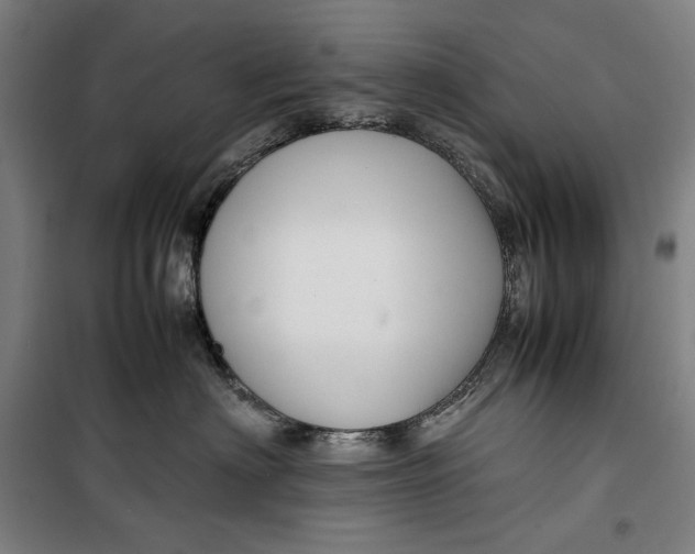 X0000099530622200806061433