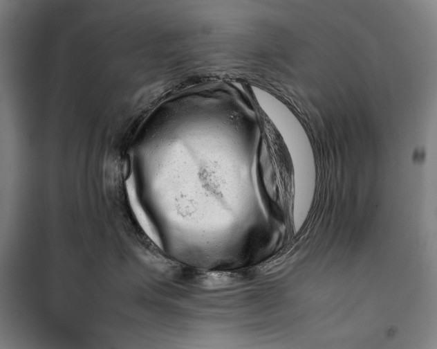 X0000099530623200806061433