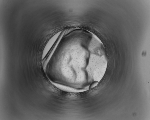 X0000099530624200806061433