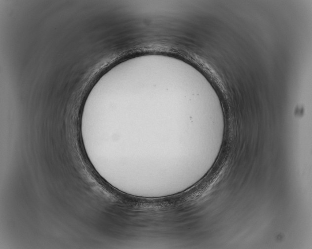 X0000099530625200806061432