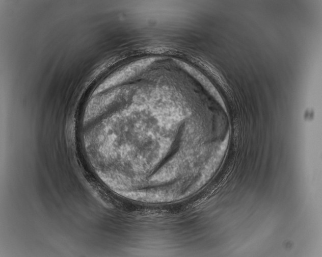 X0000099530626200806061432