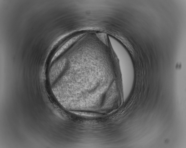 X0000099530628200806061432