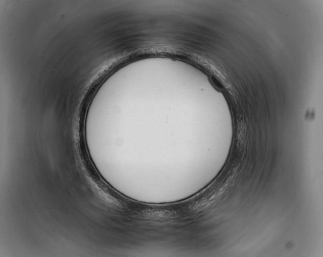 X0000099530629200806061432