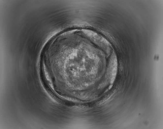 X0000099530630200806061432