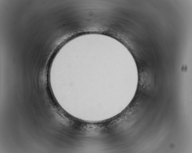 X0000099530632200806061432