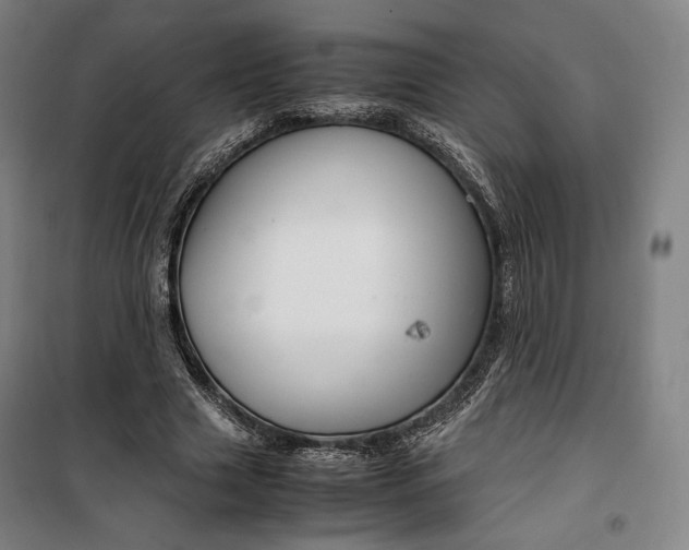 X0000099530633200806061432