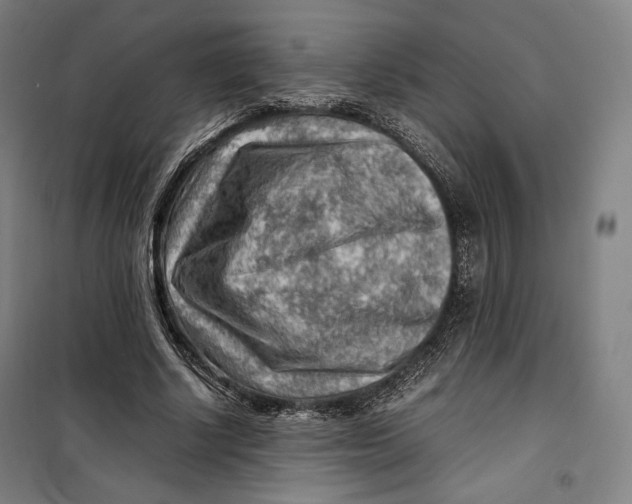 X0000099530634200806061432