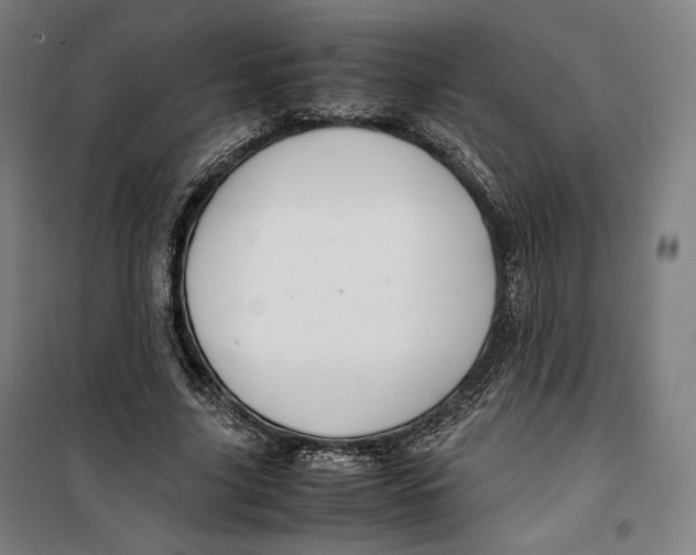 X0000099530635200806061432