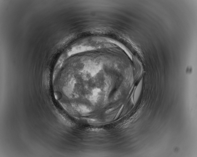 X0000099530637200806061432