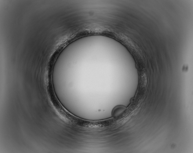 X0000099530638200806061432