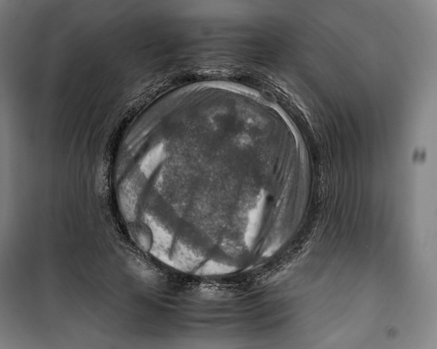 X0000099530641200806061432