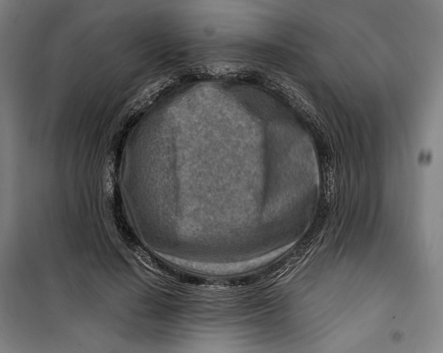 X0000099530644200806061432