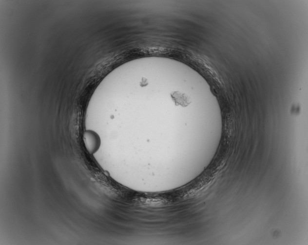 X0000099530645200806061432