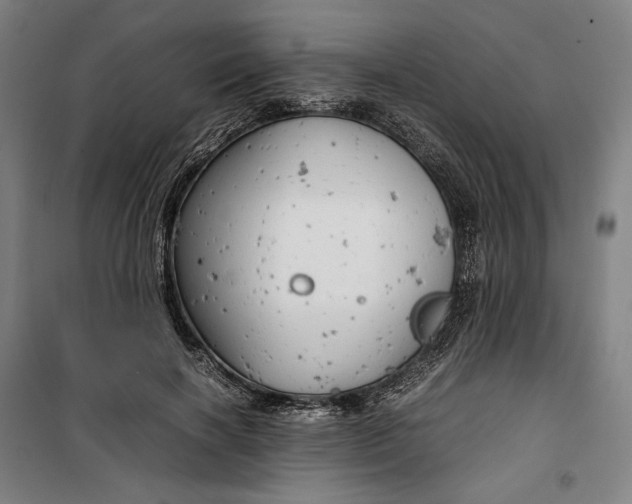 X0000099530646200806061432