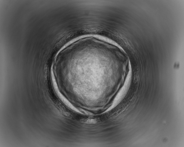 X0000099530647200806061432