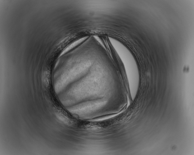 X0000099530648200806061432