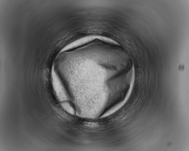 X0000099530649200806061432