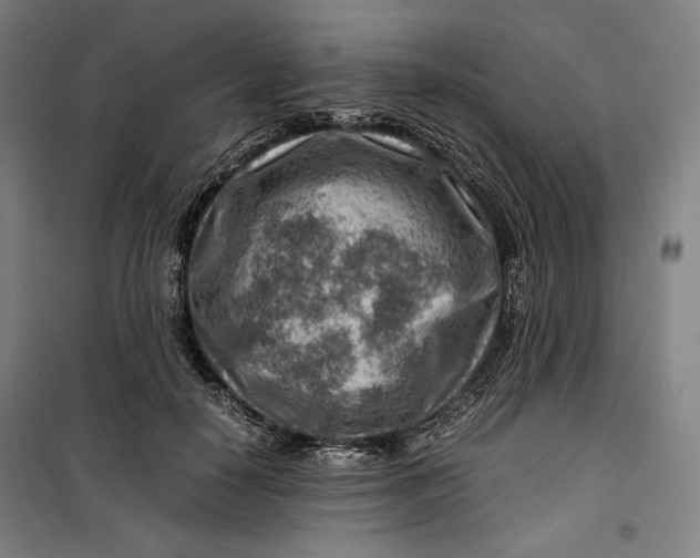 X0000099530650200806061433