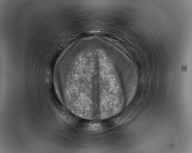 X0000099530651200806061433