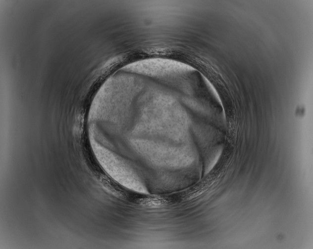 X0000099530652200806061433