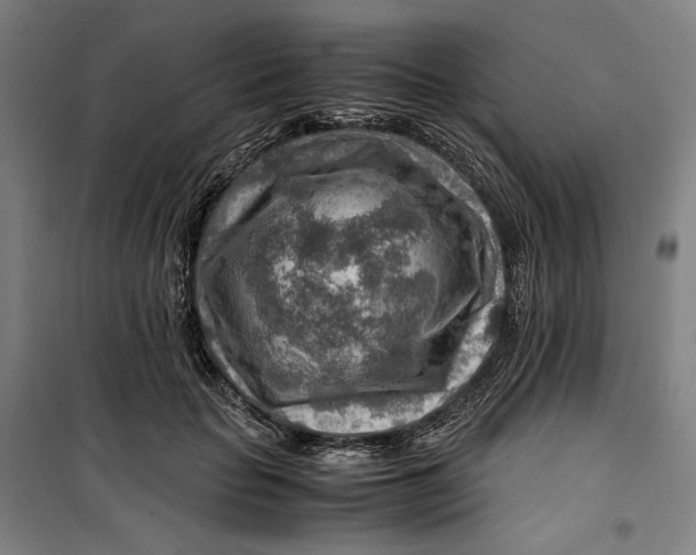 X0000099530653200806061433