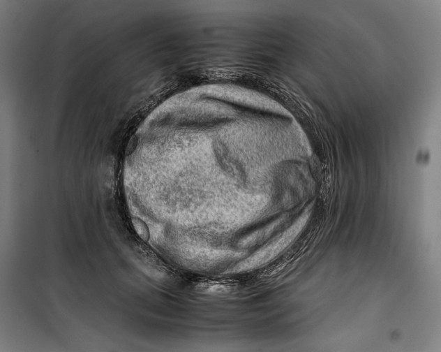 X0000099530655200806061433