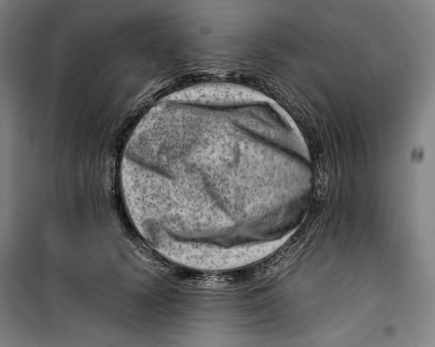 X0000099530656200806061433