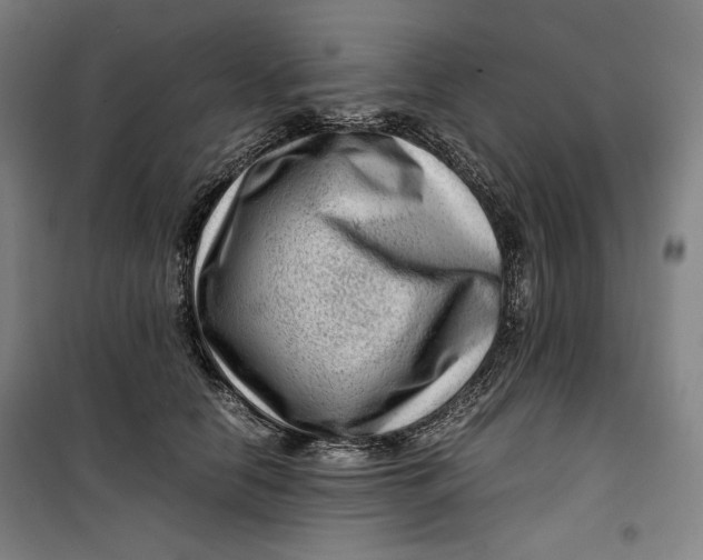 X0000099530658200806061433