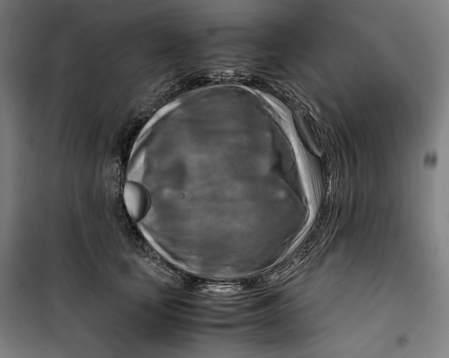 X0000099530659200806061433