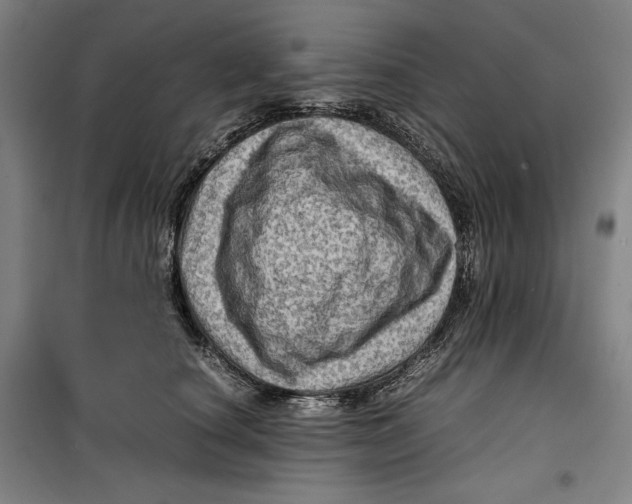 X0000099530660200806061433