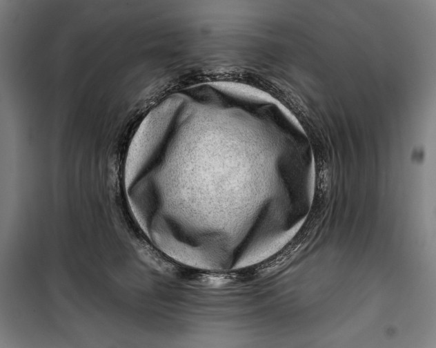 X0000099530662200806061433