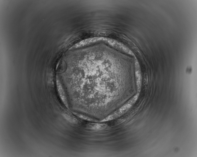 X0000099530663200806061433