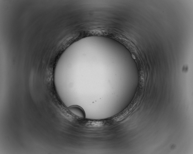 X0000099530665200806061433