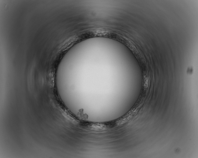 X0000099530666200806061433