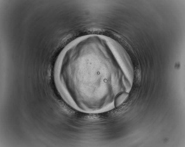 X0000099530668200806061433